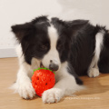 Strawberry interactive fuyant goard puzzle Puzzle